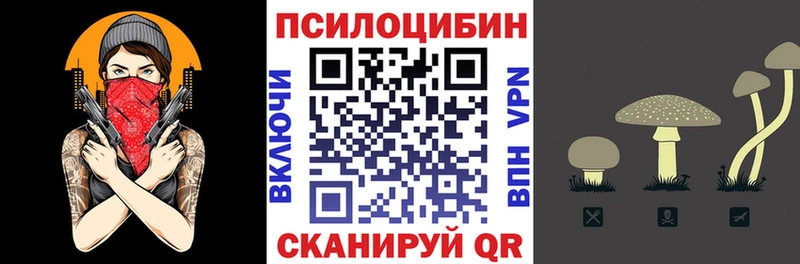 Псилоцибиновые грибы Magic Shrooms где продают наркотики Михайловск